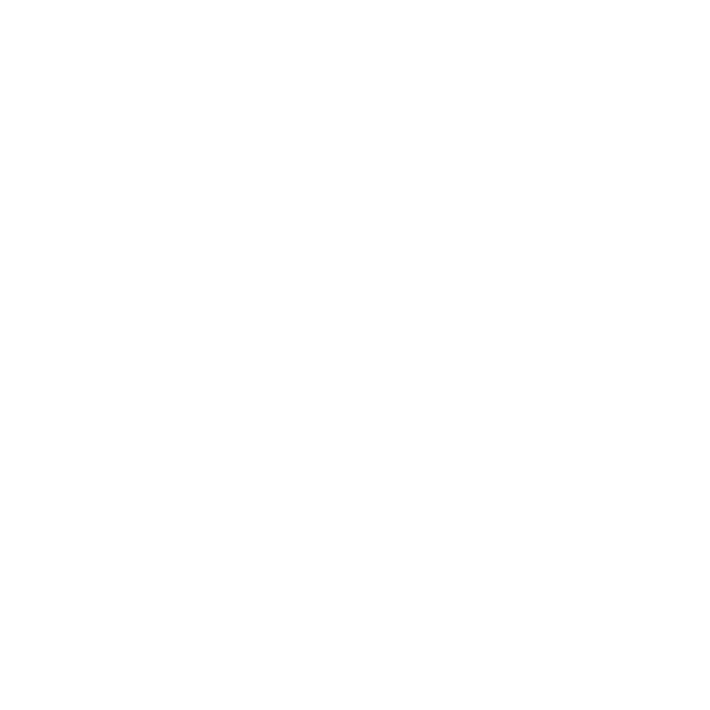 CEASC is a partner of UNS in Ukraine Logo White